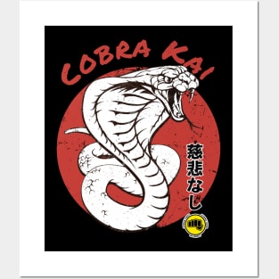 Cobra Kai Posters and Art